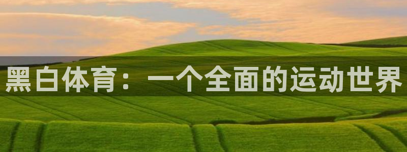 黑白体育：一个全面的运动世界