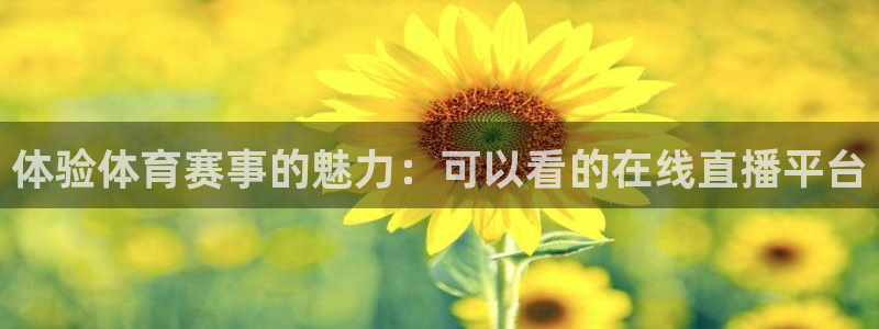 体验体育赛事的魅力：可以看的在线直播平台