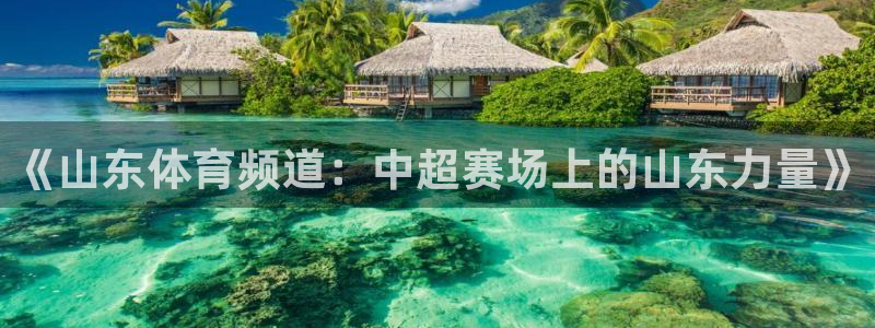 《山东体育频道：中超赛场上的山东力量》