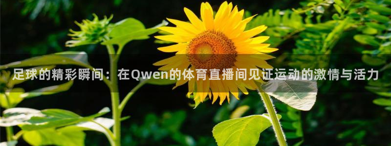 足球的精彩瞬间：在Qwen的体育直播间见证运动的激情与活力