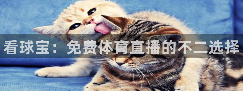 看球宝：免费体育直播的不二选择
