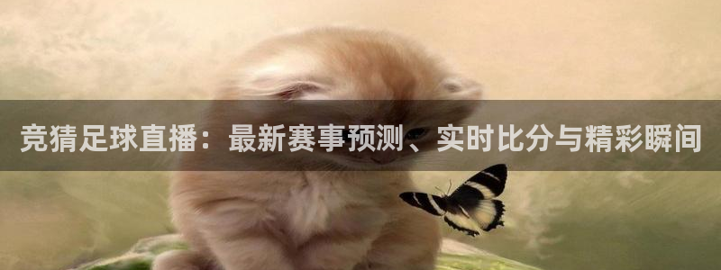 世界杯直播如何观看：竞猜足球直播：最新赛事预测、实时比分与精彩瞬间