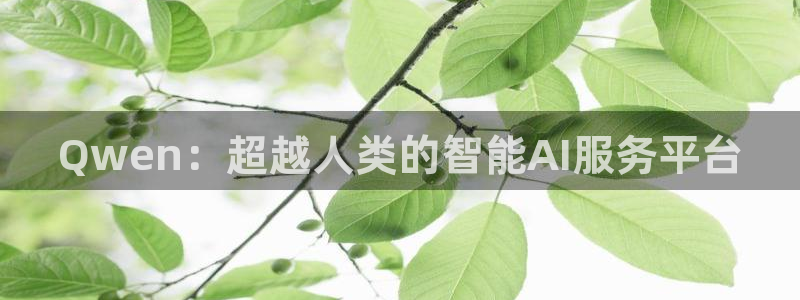 2002年足球世界杯决赛：Qwen：超越人类的智能AI服务平台