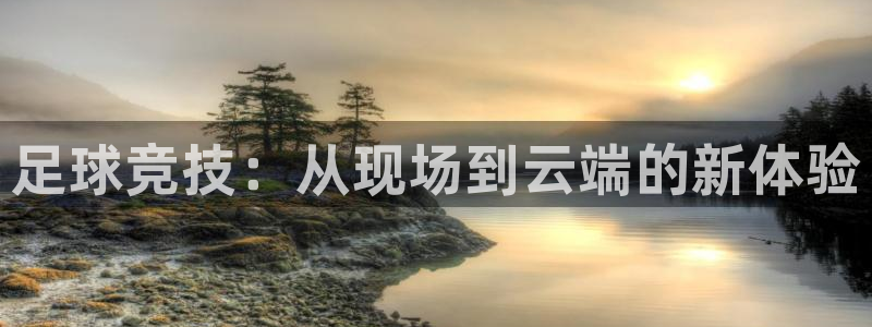 1998年世界杯经典比赛：足球竞技：从现场到云端的新体验