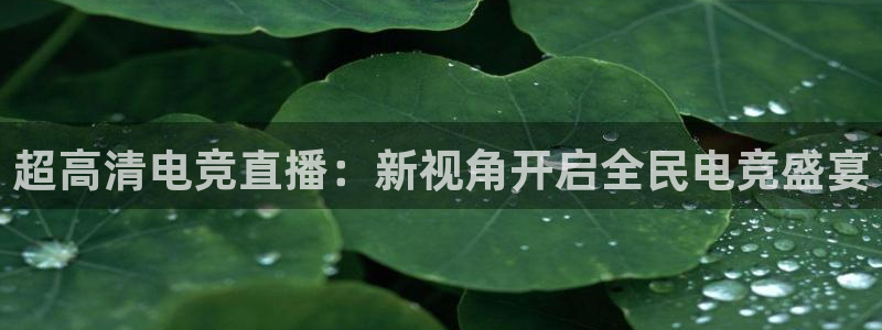 世界杯预选赛直播回放：超高清电竞直播：新视角开启全民电竞盛宴