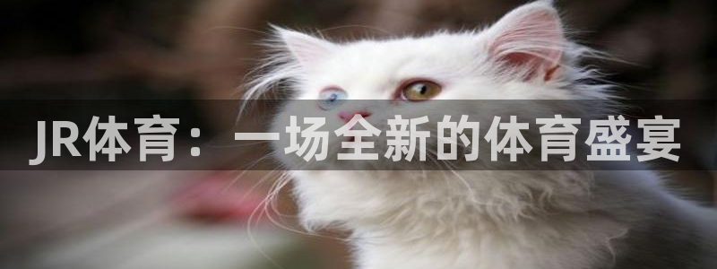 2028年乒乓球世界杯：JR体育：一场全新的体育盛宴