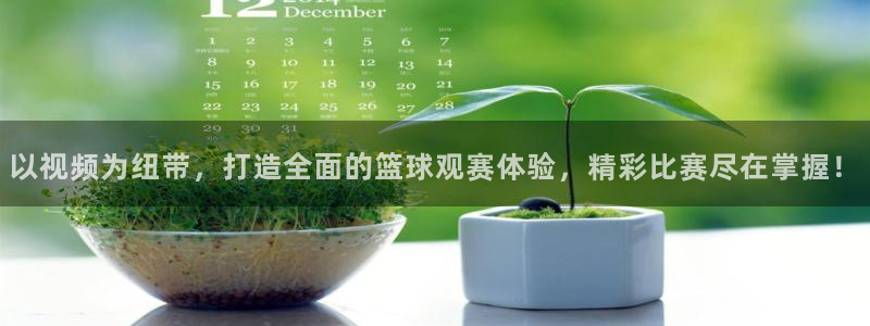 足球世界杯频道：以视频为纽带，打造全面的篮球观赛体验，精彩比赛尽在掌握！