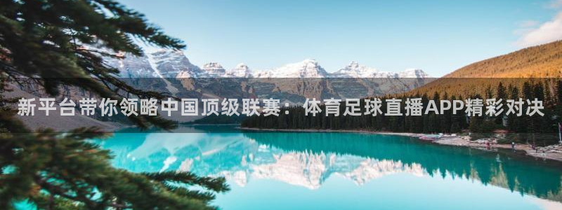 世界杯预选赛亚洲积分榜：新平台带你领略中国顶级联赛：体育足球直播APP精彩对决