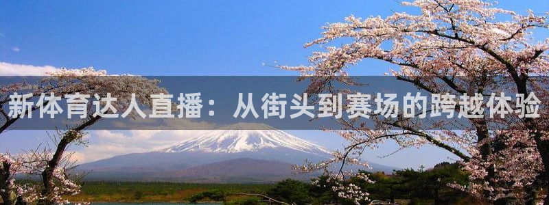 世界杯球赛预测：新体育达人直播：从街头到赛场的跨越体验