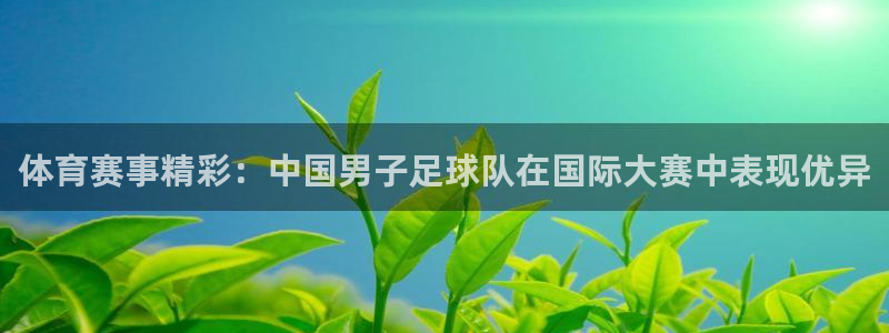 世界杯预选赛2026：体育赛事精彩：中国男子足球队在国际大赛中表现优异